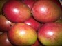 Mangue 