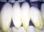 endive