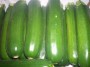 courgette