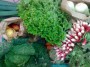 Fruits et légumes environ 13 kilos